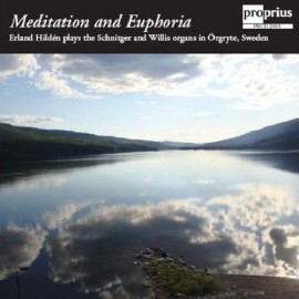 Meditation and Euphoria
