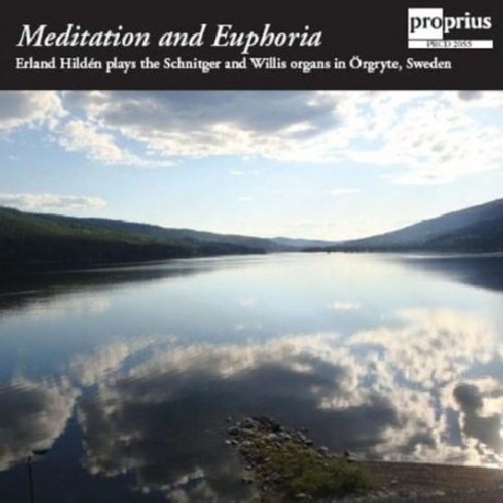 Meditation and Euphoria