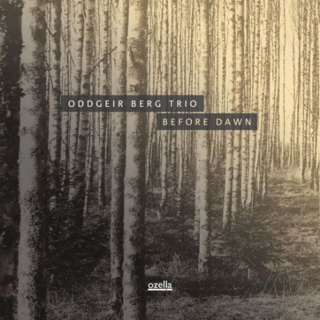 Oddgeir Berg Trio [Before Dawn]