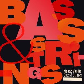 Nenad Vasilic「Bass & Strings」